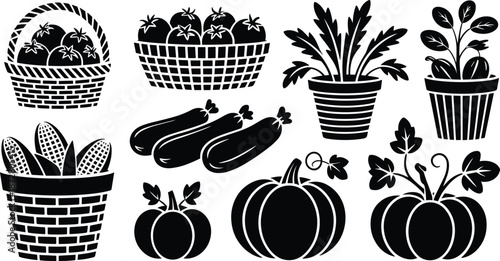Garden vegetables silhouettes set, pumpkin zucchini tomato corn baskets, potted plants icons, black organic farm produce vector collection