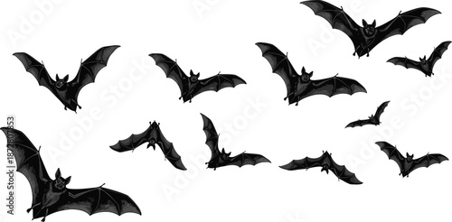 Flying bat illustration set with spooky dark bats, Halloween vampire bat silhouettes, gothic wildlife creatures for decoration and design