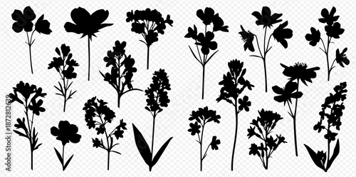 Botanical Silhouette Collection Diverse Floral Plants and Flowers a Detailed Set of Outlines for Creative Projects and Designs From Nature and Garden