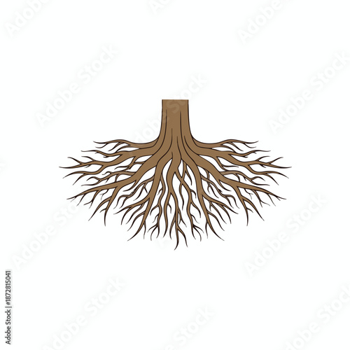 Brown Tree Roots Illustration