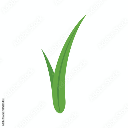 Green Checkmark Symbol on White Background