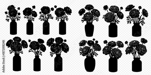 Monochromatic Ranunculus Flower Arrangements in Different Vases A Graphic Resource with Various Placement Options for Design Work and Decorations