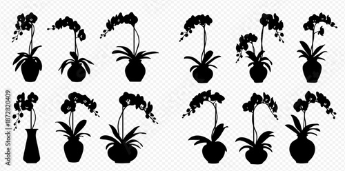 Orchid Silhouettes Collection Black and White Plants for Home Decor and Design Projects Diverse Shapes Elegant Floral Elements Silhouette Set