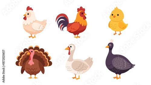 Assorted farm birds including chicken, rooster, chick, turkey, goose and hen in cartoon illustration.