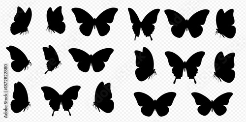 Graceful butterfly silhouettes collection for artistic projects Vector patterns perfect for stationery nature themed designs and graceful decoration
