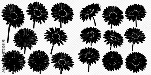 Silhouette Collection of Gerbera Flowers on Transparent Background for Floral Designs and Elegant Patterns Perfect for Creative Projects silhouette