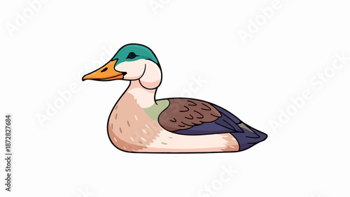 Cartoon duck with teal head and orange beak, resting on white background