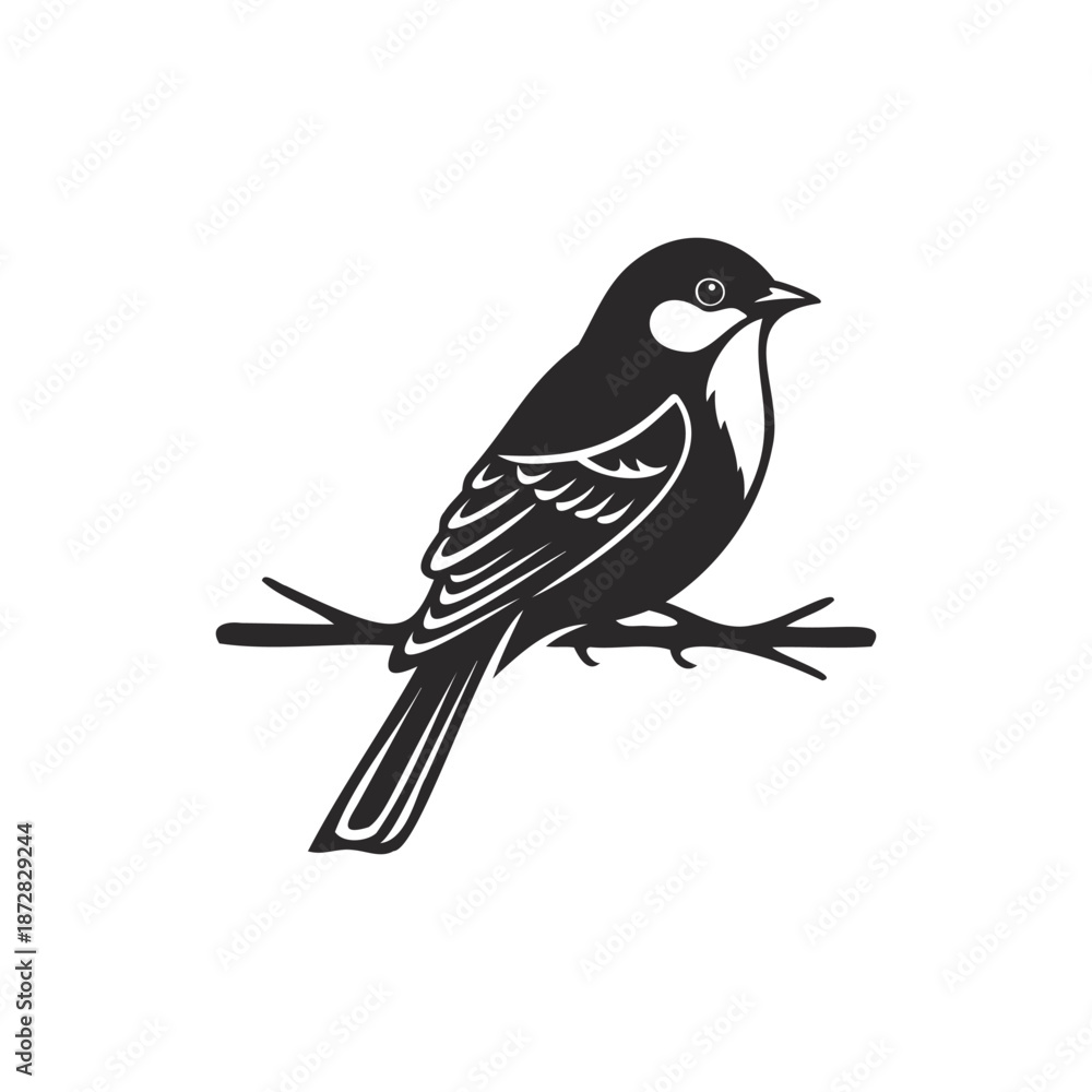 Fototapeta premium Black and white bird on branch silhouette vector illustration, common bird species for nature and wildlife
