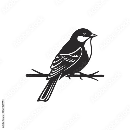 Black and white bird on branch silhouette vector illustration, common bird species for nature and wildlife