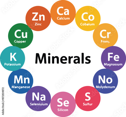 Multivitamin Complex Icons Essential Minerals for Health Care