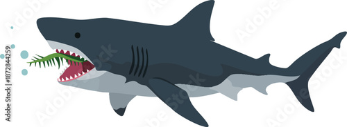 Shark eating seaweed