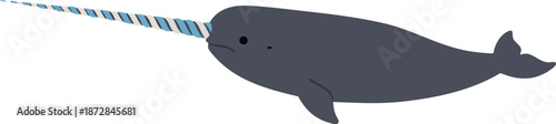 Narwhal with spiral horn on white background