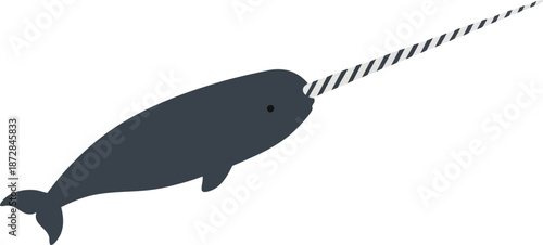 Narwhal on a white background
