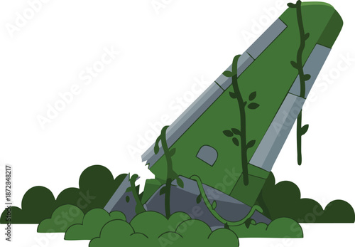 Plane Wreckage Overgrown with Vines