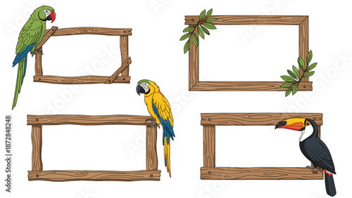 Tropical birds on wooden frame borders collection illustration