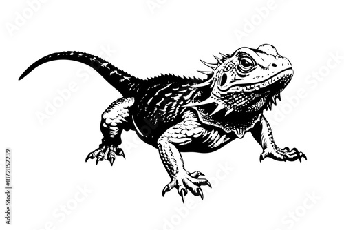 Bearded Dragon Vector Illustration – Detailed Reptile Silhouette Mascot for Exotic Pet Branding and Lizard Logo Design