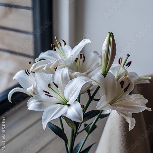 bouquet of white lilies flower, spring, nature, plant, lily, white, garden, blossom, flowers, crocus, bloom, petal, beauty, summer, petals,