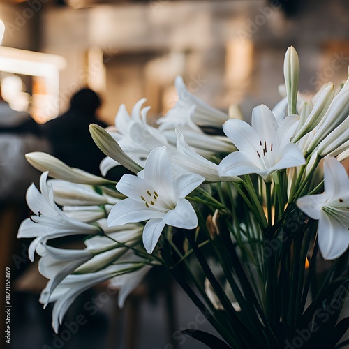lily of the valley flower, spring, nature, plant, lily, white, garden, blossom, flowers