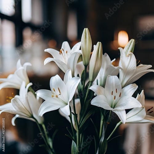 bouquet of lilies , flowers, crocus, bloom, petal, beauty, summer, petals, close-up, leaf, lilly, purple, floral, bouquet