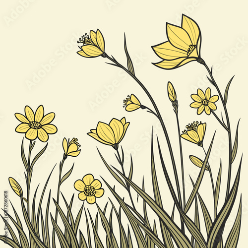 Yellow flowers in a meadow with green grass floral