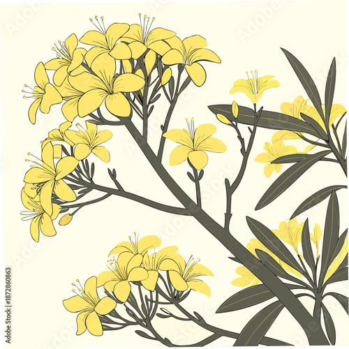 Nature of dense yellow blossoms on olive tree branch