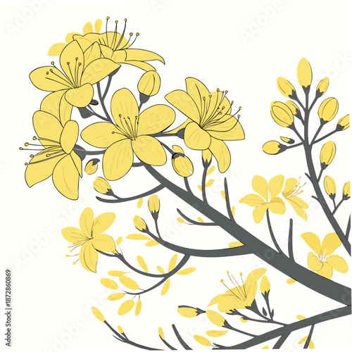 Nature of dense yellow blossoms on a tree branch yellow flowers