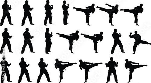 Martial artist silhouettes, kicking poses, combat stance, guard position, dynamic movement, black figures, martial discipline, training form, action kick, fighting technique
