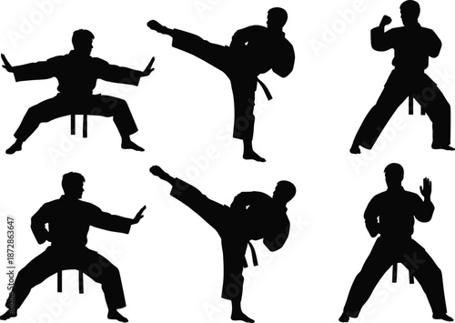 Martial arts silhouettes, kicking pose, defensive stance, high kick, combat posture, black figure, training form, action move, discipline, technique