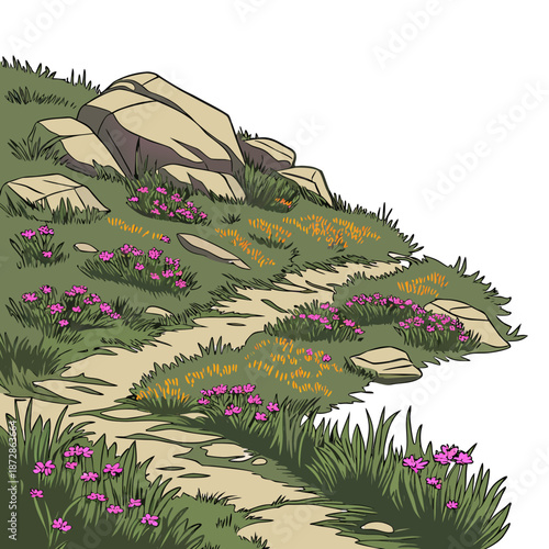 Mountain meadow with flowers and rocky outcrop path