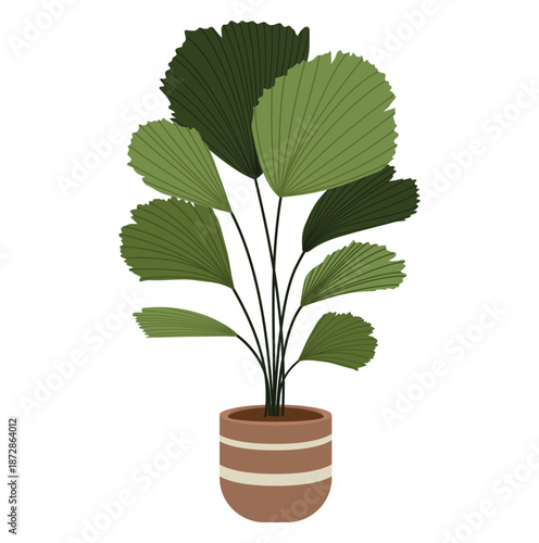 Alocasia macrorrhiza houseplant in a clay pot vector isolated on white background.