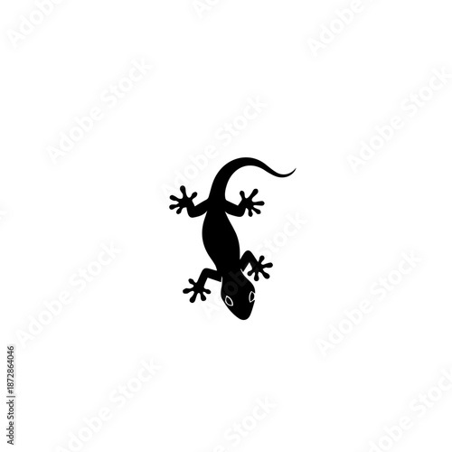 Silhouette of a gecko