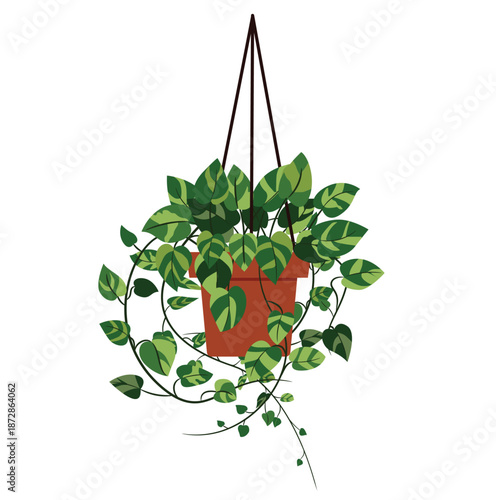Hanging pothos houseplant in a terracotta pot vector isolated on white background