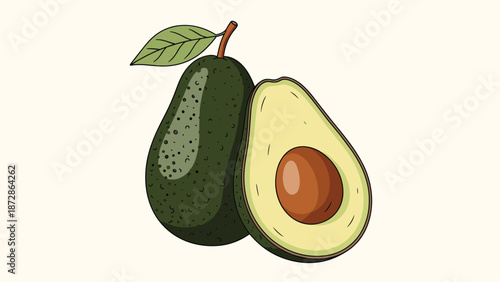 Whole green avocado and a sliced half showing the large brown pit and creamy light green flesh inside a simple artistic fruit illustration.