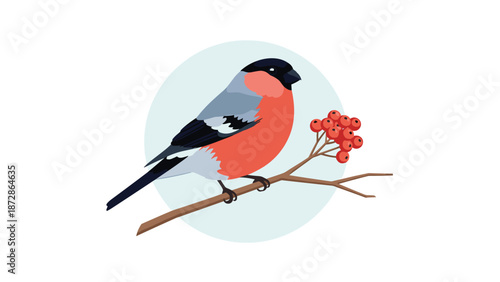 Beautiful bullfinch bird with a red breast perched on a thin tree branch with a cluster of red berries against a soft blue circular background.