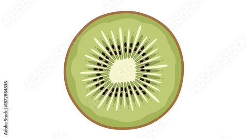 Vibrant green slice of a fresh kiwi fruit showing the detailed white core and small black seeds in a clean circular food illustration.
