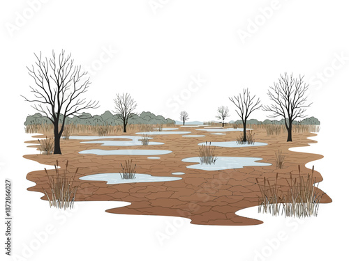 Illustration of a brown muddy field with puddles, dry trees, and reeds in nature