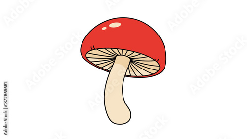Single mushroom with a bright red cap and long tan stem shown in a detailed and colorful botanical style illustration.