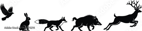 Wildlife animal silhouettes progression featuring bird, rabbit, fox, wild boar, and deer, nature evolution and forest ecosystem concept illustration for environmental and educational design