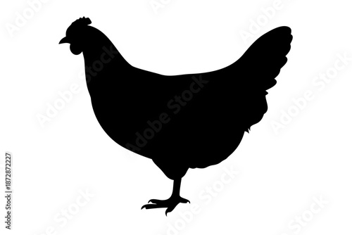 Black Hen Silhouette Vector – Minimalist Chicken Farm Animal Mascot for Poultry Graphic Design