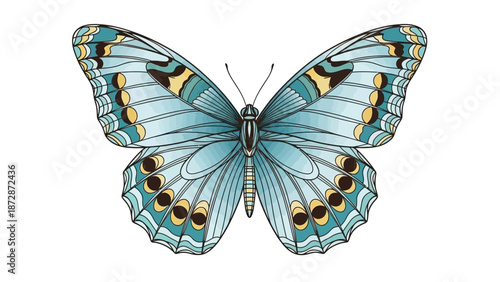 Detailed Vector Illustration of a Blue and Yellow Butterfly with Intricate Wing Patterns