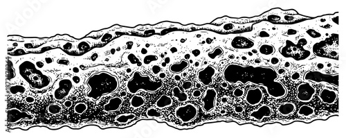 Detailed porous sponge texture with organic holes and bubbles black and white vector design