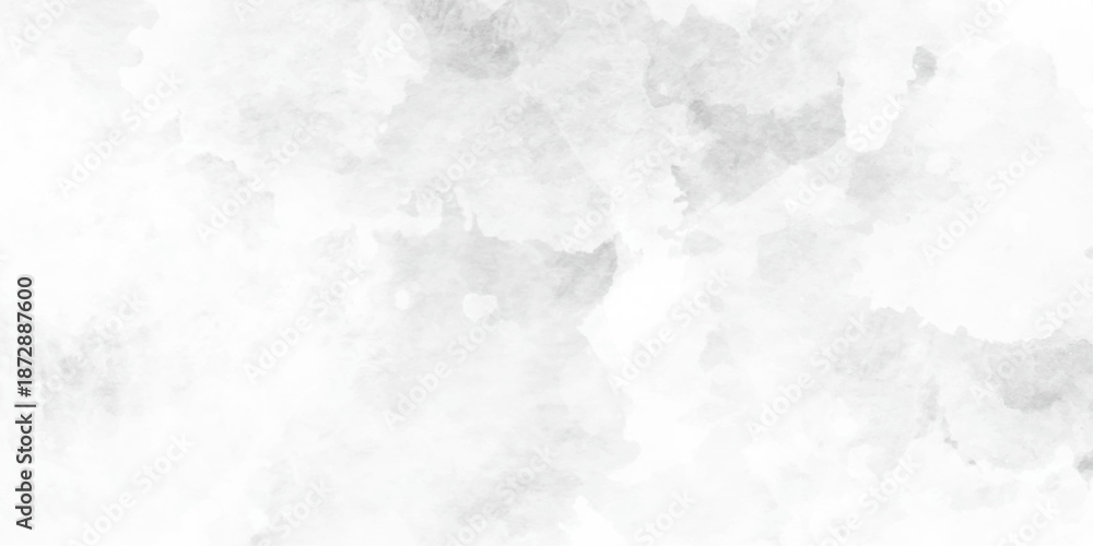 Obraz premium Black and white old watercolor background, white paper texture and gray watercolor painting background. black and white gradient watercolor background. Luxurious watercolor textures. 