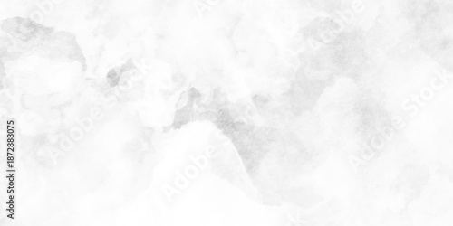 Black and white old watercolor background, white paper texture and gray watercolor painting background.  black and white gradient watercolor background. Luxurious watercolor textures. 
