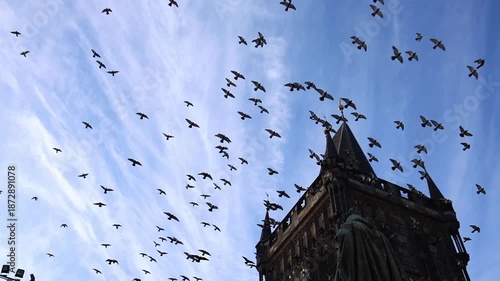 Birds fill the sky above historic gothic tower and old city skyline creating timeless european story with cinematic motion and beautiful urban atmosphere