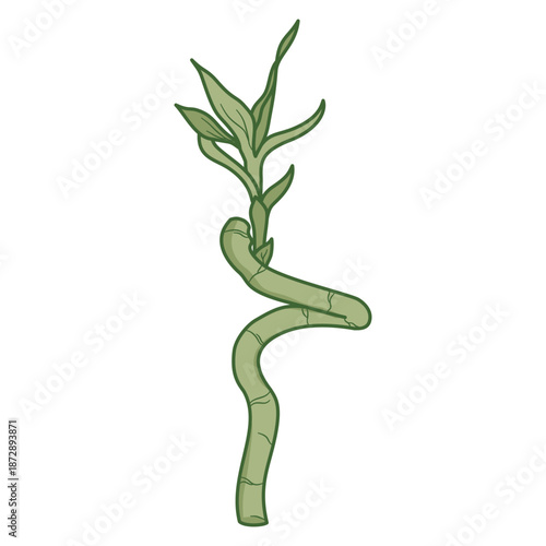 Curving lucky bamboo stalk with leaves symbolizing growth and fortune