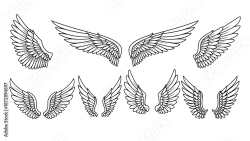 A collection of black and white line art illustrations of various angel wings, presented in a top-down view.