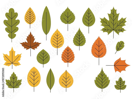 Diverse Leaves Illustration A Botanical Collection of Autumn Foliage