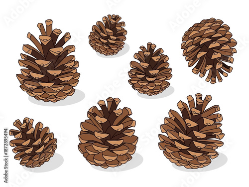 Pine Cones Collection Natural Textures and Forest Elements