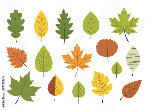 Collection of Autumn Leaves Diverse Shapes and Colors in Flat Design