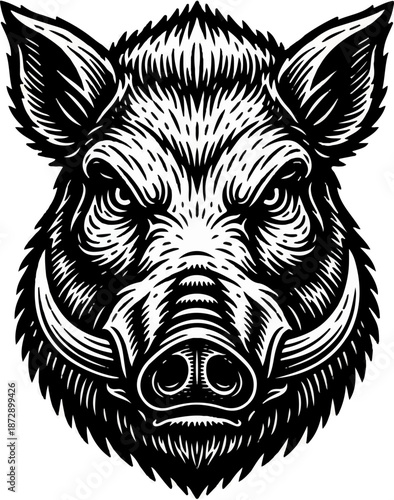 Wild boar head graphic design with detailed lines and textures showcasing an animal representation